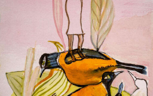 Nieuwsbrief september – najaar 2025